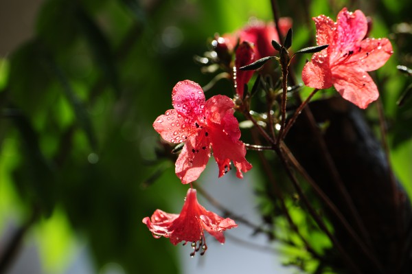 1548646064895026967.jpg 一如初心(中冶天工集團(tuán)天津有限公司第四建筑工程分公司 陳宜彤 攝影).jpg